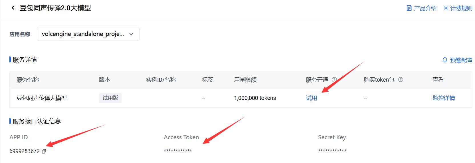 火山引擎豆包同声传译控制台获取 APP ID 与 Access Token 示意